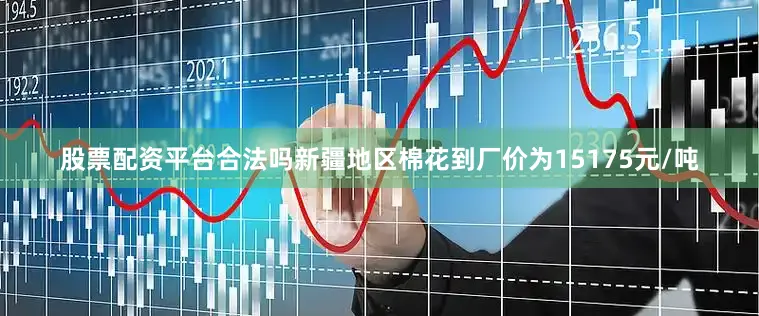 股票配资平台合法吗新疆地区棉花到厂价为15175元/吨