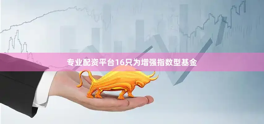 专业配资平台16只为增强指数型基金
