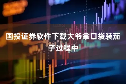 国投证券软件下载大爷拿口袋装茄子过程中